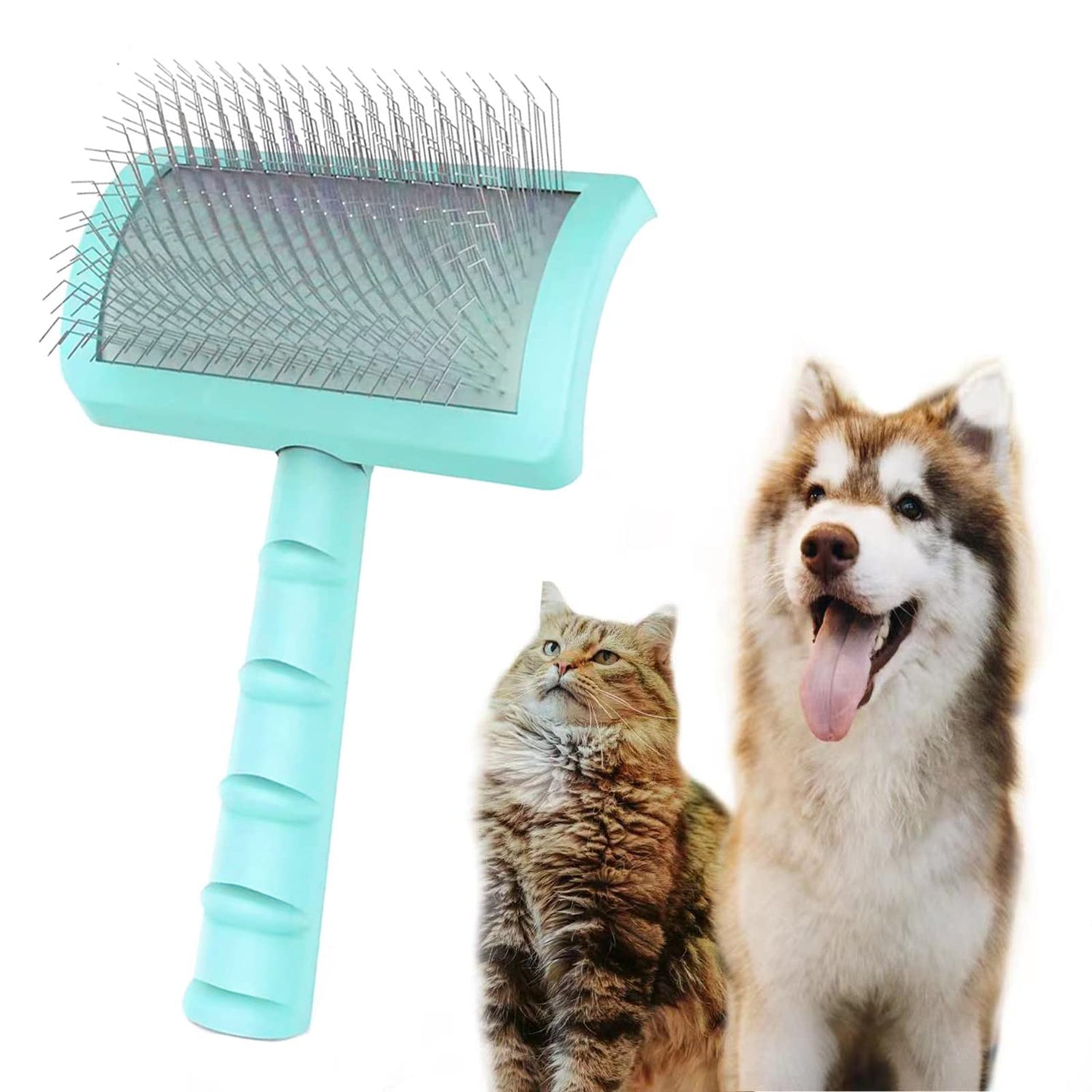 Dog brushes