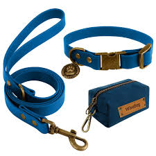 Collars and Leashes